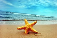 Starfish On The Tropical Beach Stationery, Backgrounds