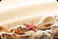 Starfish Seashell On Sand Stationery, Backgrounds