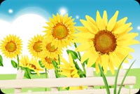 Bright Yellow Sunflowers Stationery, Backgrounds