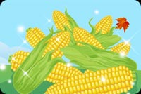 Lots Of Corn And A Leaf Stationery, Backgrounds