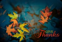 Give Thanks During Thanksgiving Stationery, Backgrounds