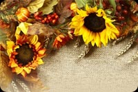 Thanksgiving Wishes Background Stationery, Backgrounds