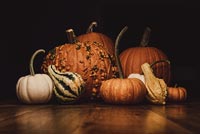 Orange And White Pumpkins Stationery, Backgrounds