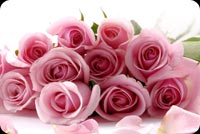 A Dozen Of Pink Roses Stationery, Backgrounds