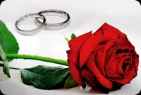 Wedding Rings And A Rose Stationery, Backgrounds