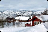 Beautiful Countryside During Winter Stationery, Backgrounds