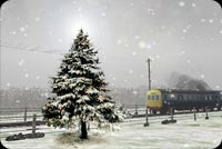 Pine Tree Covered In Snow Stationery, Backgrounds